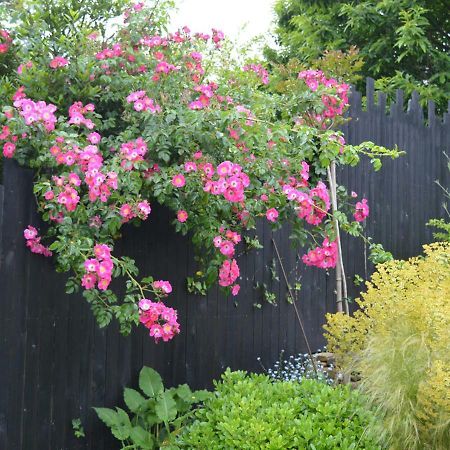 Jardin De Belle Vue 호텔 캉페흘르 외부 사진