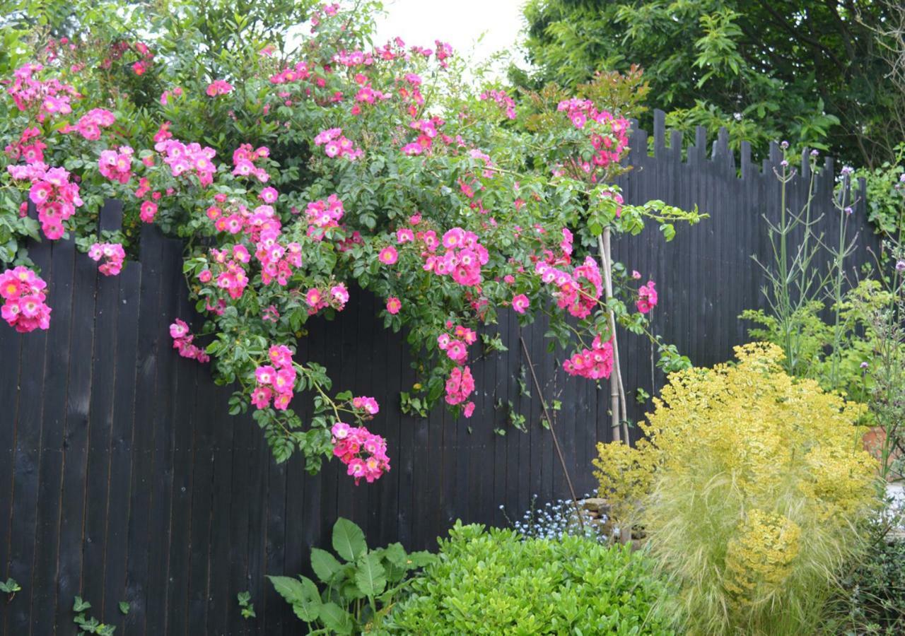 Jardin De Belle Vue 호텔 캉페흘르 외부 사진