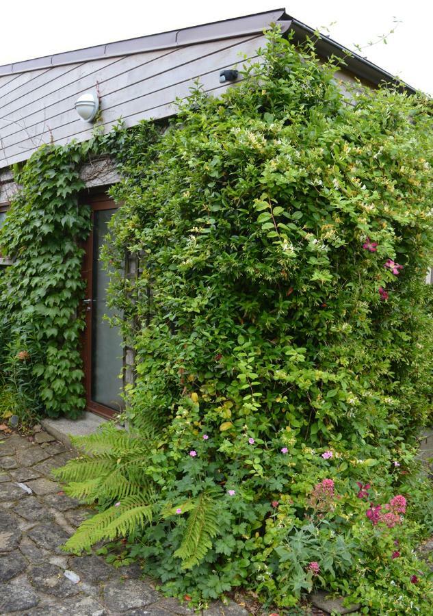 Jardin De Belle Vue 호텔 캉페흘르 외부 사진